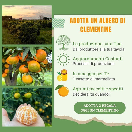 Adotta un albero di Clementine Italiano