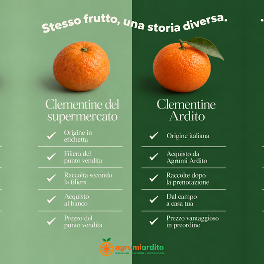 CLEMENTINE FRESCHE E NON TRATTATE